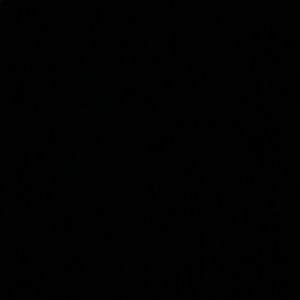 Meet your Posher, Hayat